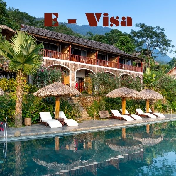 E-Visa Services